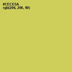 #CECE5A - Wattle Color Image