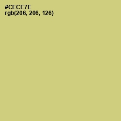#CECE7E - Chenin Color Image