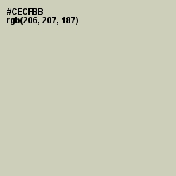 #CECFBB - Foggy Gray Color Image