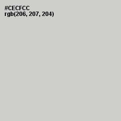 #CECFCC - Pumice Color Image