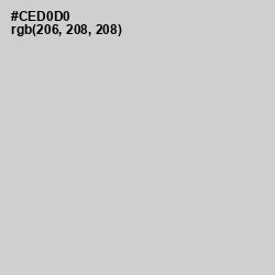 #CED0D0 - Conch Color Image