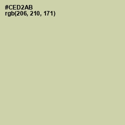 #CED2AB - Green Mist Color Image