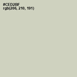 #CED2BF - Pale Leaf Color Image