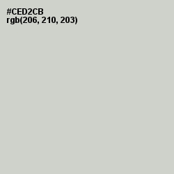 #CED2CB - Tasman Color Image