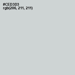 #CED3D3 - Conch Color Image