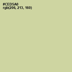 #CED5A0 - Thistle Green Color Image