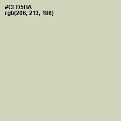 #CED5BA - Green Mist Color Image