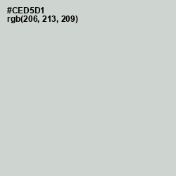 #CED5D1 - Conch Color Image