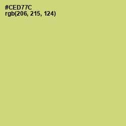 #CED77C - Chenin Color Image