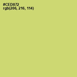 #CED872 - Chenin Color Image