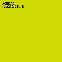 #CEDA01 - Bird Flower Color Image