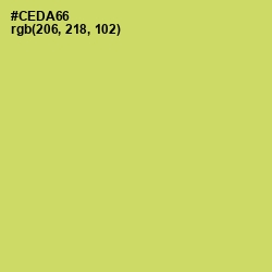 #CEDA66 - Tacha Color Image