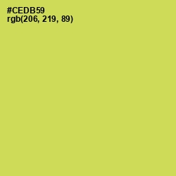 #CEDB59 - Wattle Color Image