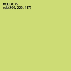 #CEDC75 - Chenin Color Image