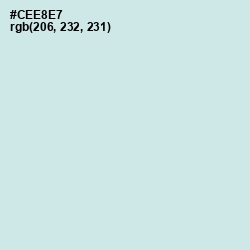 #CEE8E7 - Jagged Ice Color Image