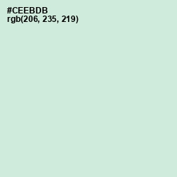 #CEEBDB - Skeptic Color Image