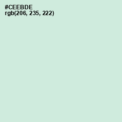 #CEEBDE - Skeptic Color Image