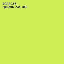 #CEEC56 - Wattle Color Image