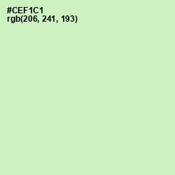 #CEF1C1 - Tea Green Color Image