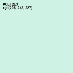 #CEF2E3 - Mint Tulip Color Image