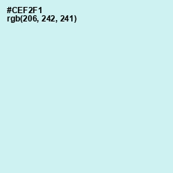#CEF2F1 - Humming Bird Color Image