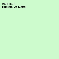 #CEFBCD - Snowy Mint Color Image