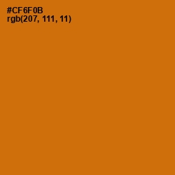 #CF6F0B - Indochine Color Image