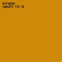 #CF8908 - Pizza Color Image