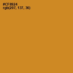 #CF8924 - Brandy Punch Color Image