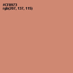 #CF8973 - Burning Sand Color Image