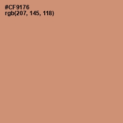 #CF9176 - Burning Sand Color Image