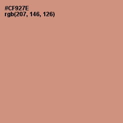 #CF927E - Burning Sand Color Image