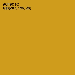 #CF9C1C - Pizza Color Image