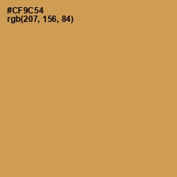 #CF9C54 - Twine Color Image