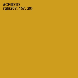 #CF9D1D - Pizza Color Image