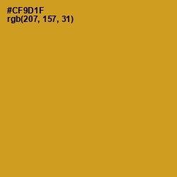 #CF9D1F - Pizza Color Image