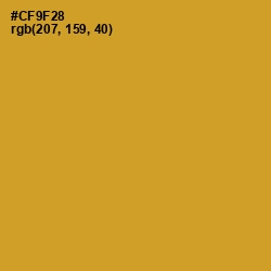 #CF9F28 - Nugget Color Image