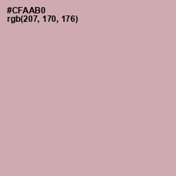#CFAAB0 - Lily Color Image