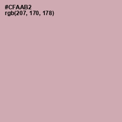 #CFAAB2 - Lily Color Image
