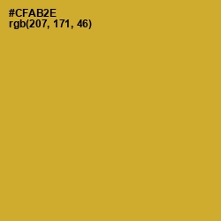 #CFAB2E - Hokey Pokey Color Image