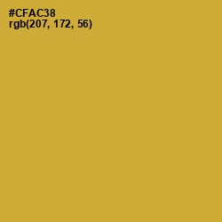 #CFAC38 - Old Gold Color Image