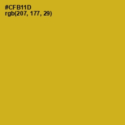 #CFB11D - Gold Tips Color Image