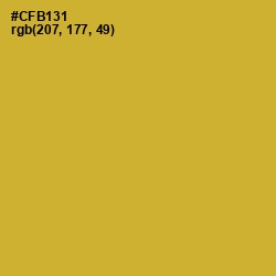 #CFB131 - Old Gold Color Image