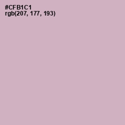 #CFB1C1 - Pale Slate Color Image