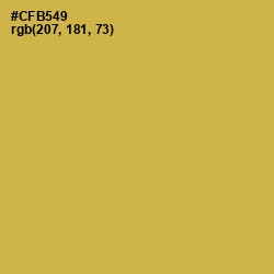 #CFB549 - Turmeric Color Image