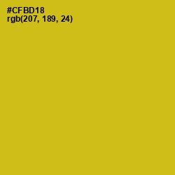 #CFBD18 - Gold Tips Color Image