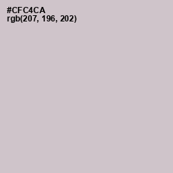 #CFC4CA - Pumice Color Image