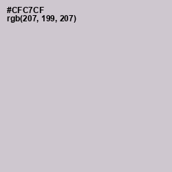 #CFC7CF - Pumice Color Image