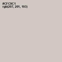 #CFC9C1 - Pumice Color Image