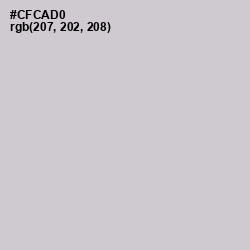 #CFCAD0 - Ghost Color Image